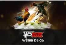 WS168 Có Uy Tín Không? Tiêu Chí Nào Thể Hiện Sự Uy Tín? WS168 nhà cái uy tín chất lượng hàng đầu châu Á